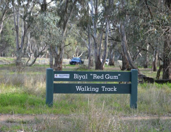 DSC_0554Redgum walk scaled