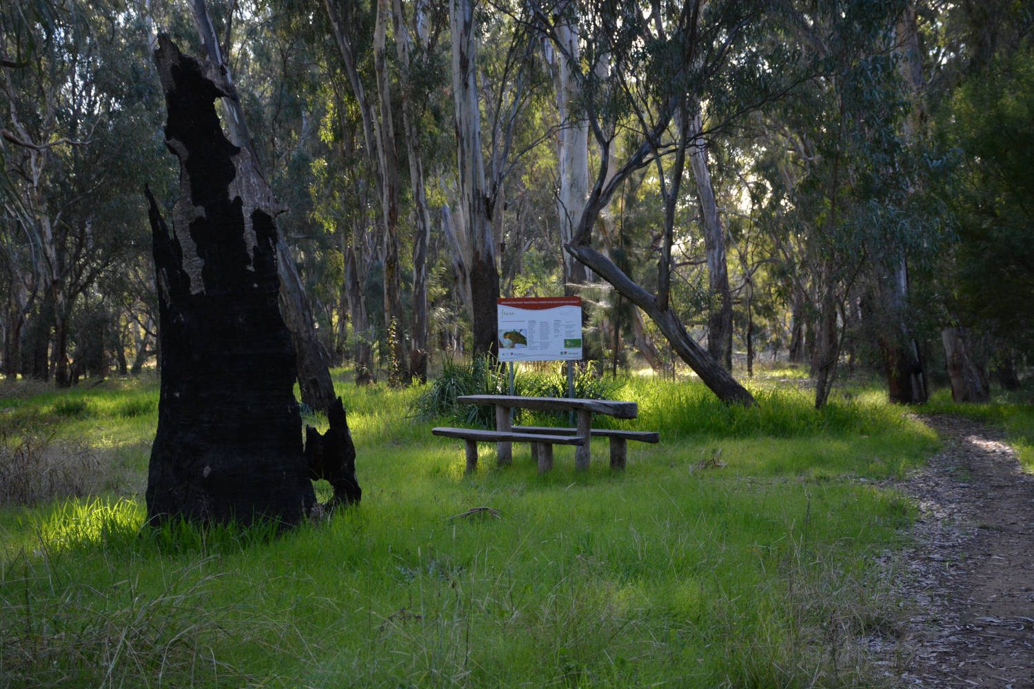 Murrumbidgee Valley Regional Park